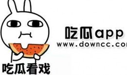 网红吃瓜视频聊天软件下载,揭秘热门聊天软件下载攻略