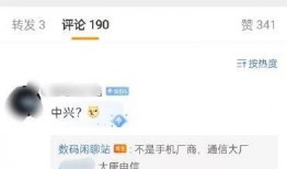 站哥最新爆料视频,揭秘视频背后的惊人真相！