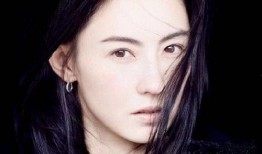 张柏芝爆料娱乐圈视频,真实与虚假的较量